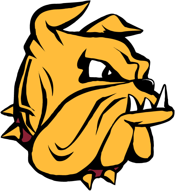 Minnesota-Duluth Bulldogs 1996-Pres Secondary Logo t shirts DIY iron ons